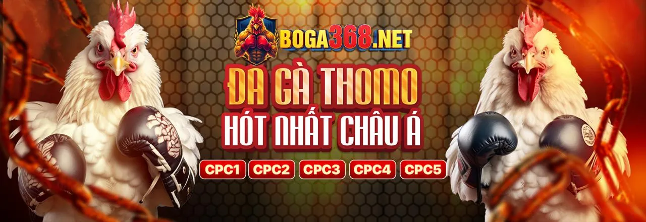 Sân đấu đá gà trực tuyến ga179 trang chủ chính thức